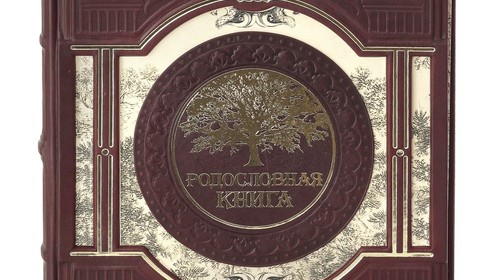 Родословная книга Арт.030-08-01