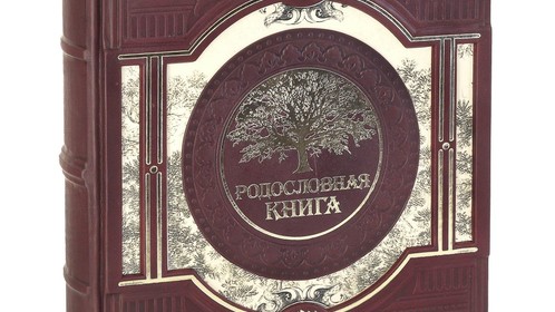Родословная книга Арт.030-08-01